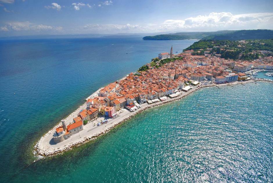 Apartament Konjajeva *